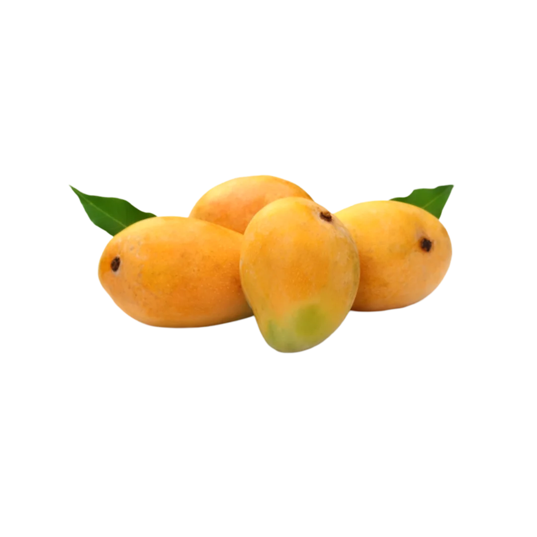 Fresh Fresh Alphonso Mango 12 Pcs 